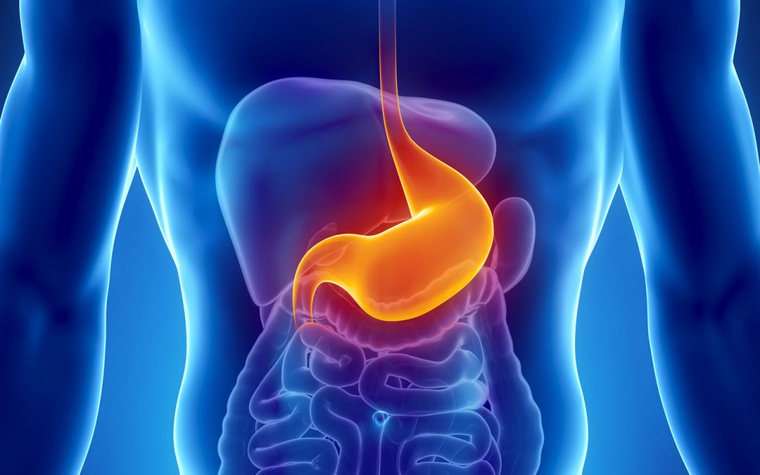 Żołądek – najkwaśniejsze miejsce w organizmie